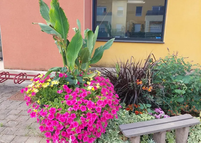 Les Colombes Laquenexy